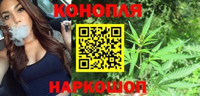 apvp Гагарин